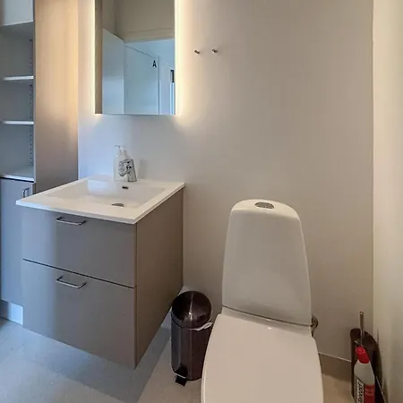 Accogliente A Con Piscina Appartamento Vejen